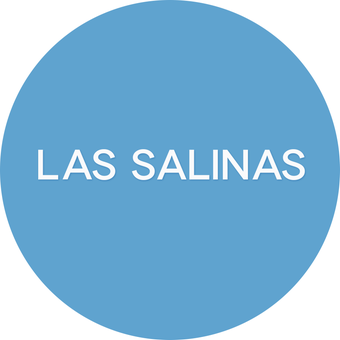 LAS SALINAS